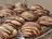 Frozen Chocolate Shortbread