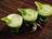 Smoothie vert aux concombres