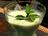 Cucumber Gazpacho