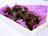 Chocolate Fudge with Dried Fruit