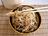 Chinese Chicken Noodle Salad with Sesame Sauce