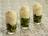 Kiwis with Coconut Whipped Cream
