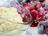 Crystallized Berries and Vanilla Mascarpone