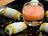Fresh Herbs and Haddock with Pickled Peaches