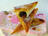 Ganache and Peach-Filled Samosas