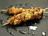 Mini Lamb Skewers with Ginger