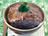 Terrine de canard au whisky et noisettes