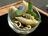 Conchiglioni Stuffed with Hazelnut Pesto 