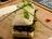 Herb Burgers
