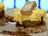 Scrambled Eggs with Chicken Livers and Madeira Sauce