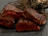 Thyme Smoked Aubrac Beef Tenderloin
