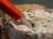 Mackerel Rillettes with Wasabi