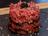 Beef Napoleon