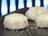 Coconut and Shrimp Balls