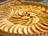 Apple Tart with an Apricot Glaze
