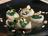 Scallops with Almonds and Spinach