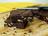 Chocolate Pecan Brownies