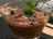 Mint Chocolate Mousse 