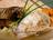 Pan-Roasted Chicken with Carrots and Parsnips with Star Anise