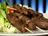 Pampelune Morunos Lamb Kebabs 