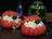 Cold Stuffed Tomatoes with Tuna