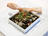 Baby Squid Escabèche with Ink and Poppy Seeds