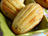 Madeleines au roquefort et magret fumé
