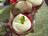 Beet Cappuccino