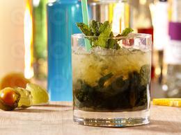 Mint Julep