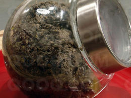 Ma tapenade d'olives noires