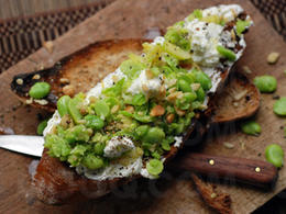 Tartines crémeuses aux fèves 