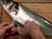 Habiller les poissons ronds (ébarber, écailler, vider)