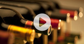 500 fiches vin